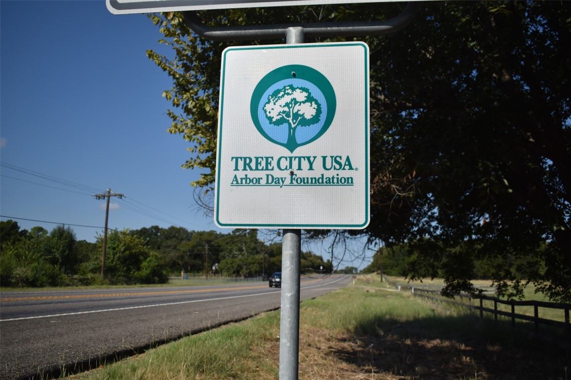 Tree City USA